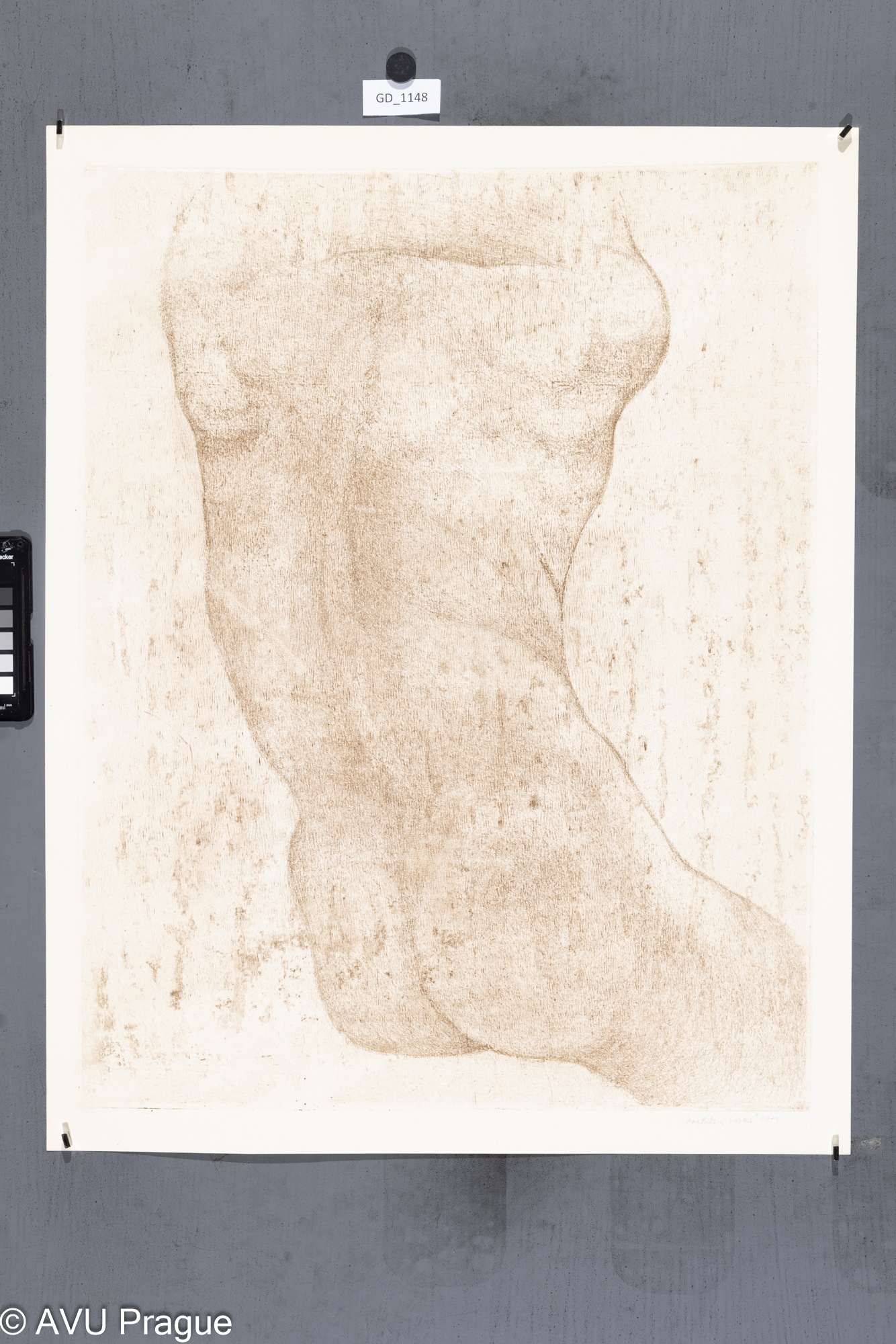 Magdalena Vovsová, Z cyklu  Model (Honěk),1979, Suchá jehla, 63,8 x 49,6, 69,3 x 54,3, Čepelák