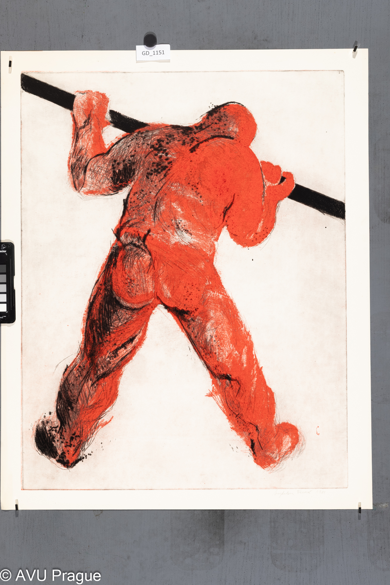 Magdalena Vovsová, Valcíř, 1981, Suchá jehla - barva -soutisk,  
64,5 x 50,3, 70,8 x 53,5, Čepelák