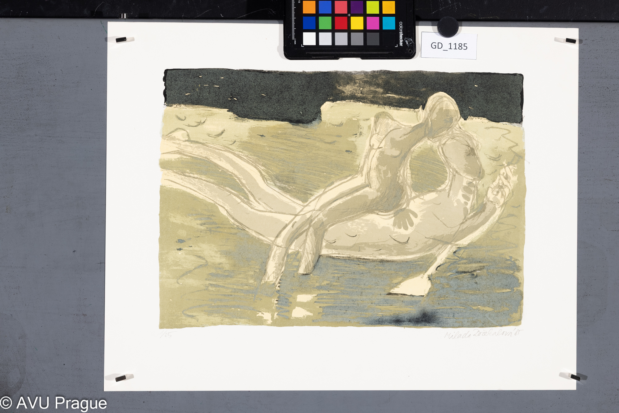 Milada Dočekalová, Dvojice plovoucí na  vodě, 1985, Litografie - čtyři barvy, 
24,4 x34,5, 34,5 x 44,7, Čepelák