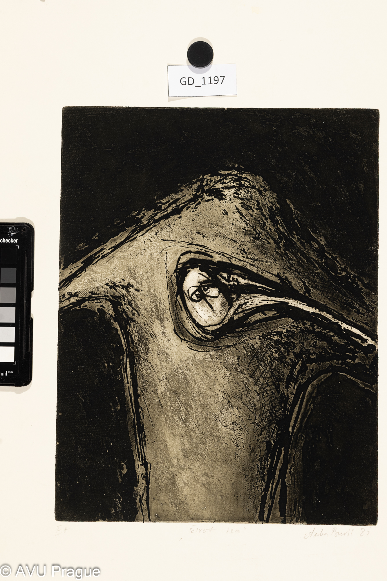 Anka ..., život  iza (život za zády), 1987, Lept /akvatinta, 32 x 24,5, 51 x 36,8,