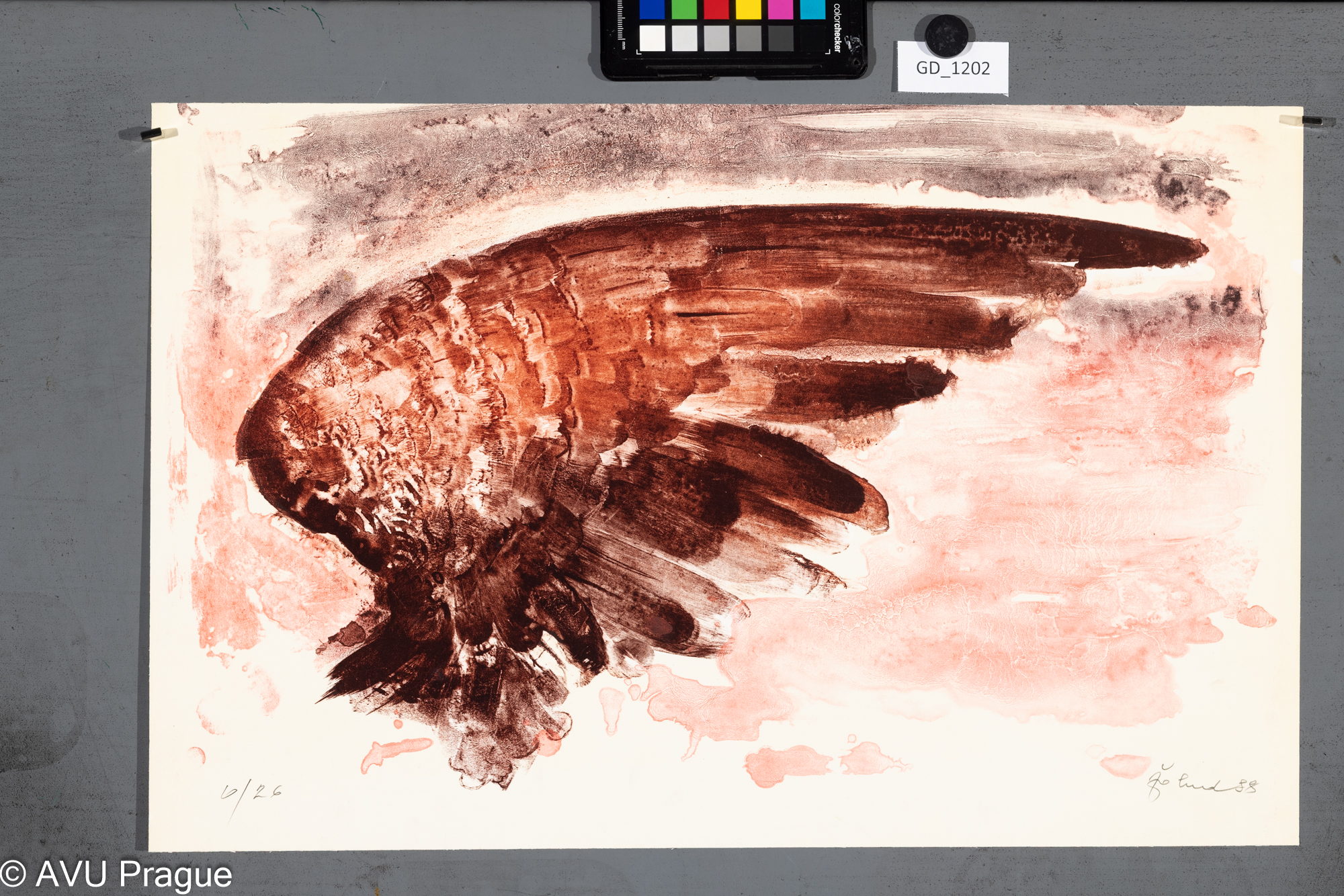 Jiří Žalud,Křídlo, 1988, Litografie - tuž - tři barvy, 32,5 x 52, 53,7 x 34,7, Lektor GD,