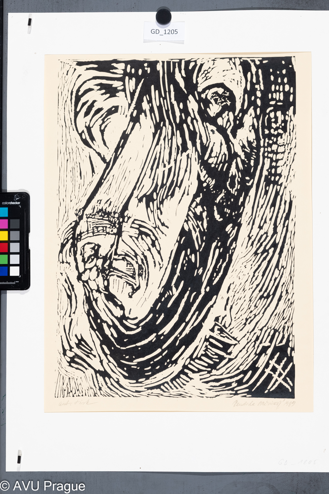 Vendula Březinová,figura - vzepětí,1989,Linoryt,43,3  x 30,4,55 x 40,2,Čepelák