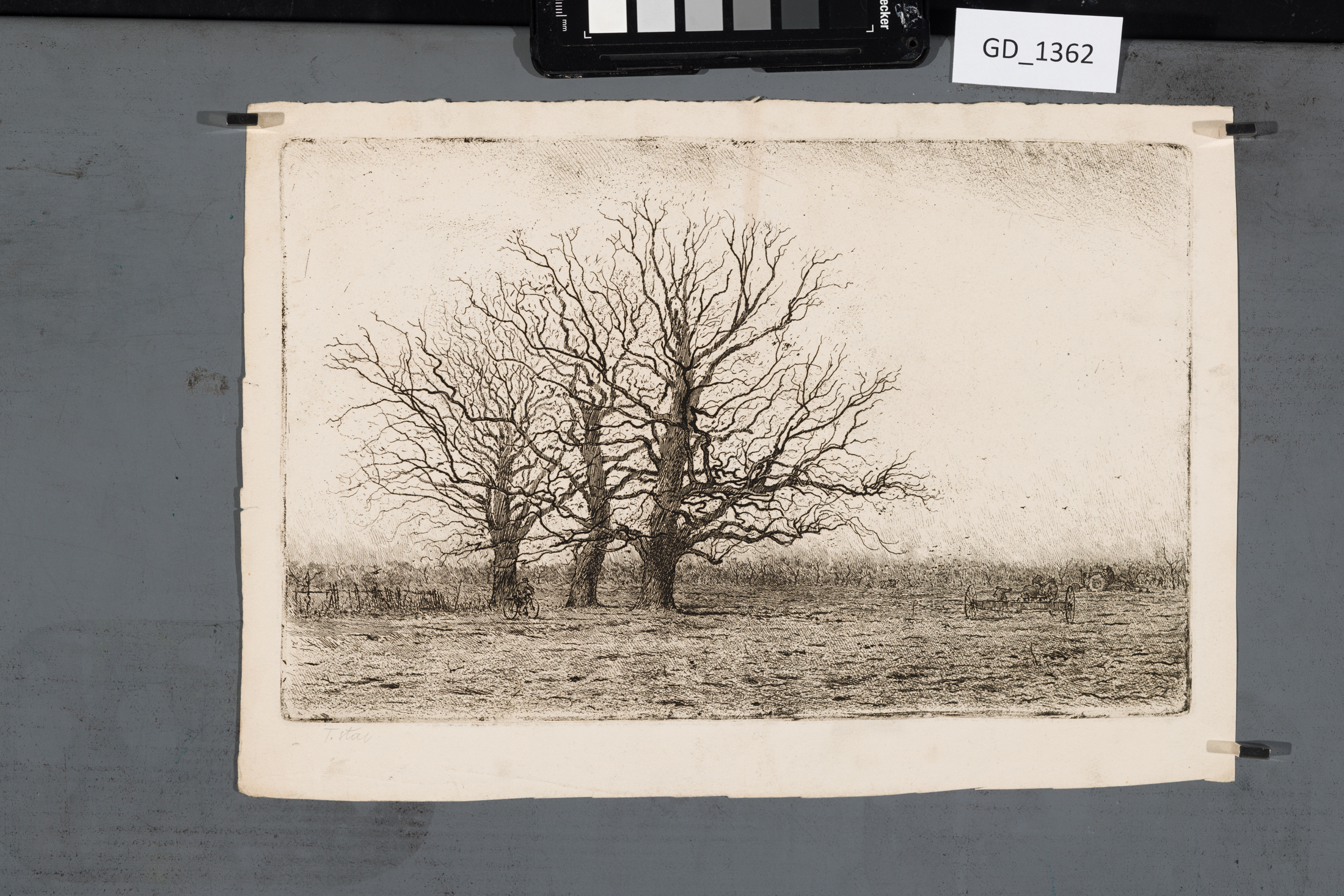 Fotografie