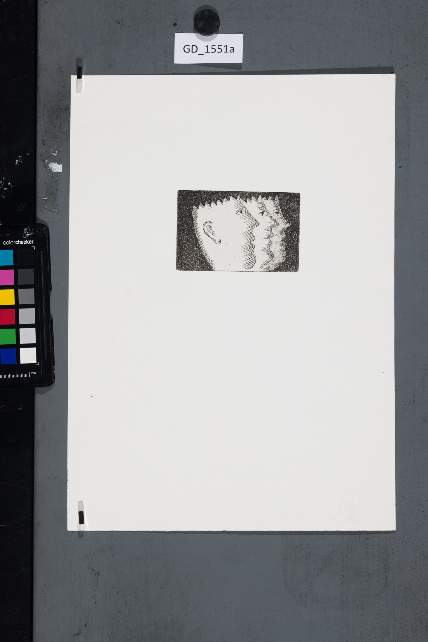 Fotografie