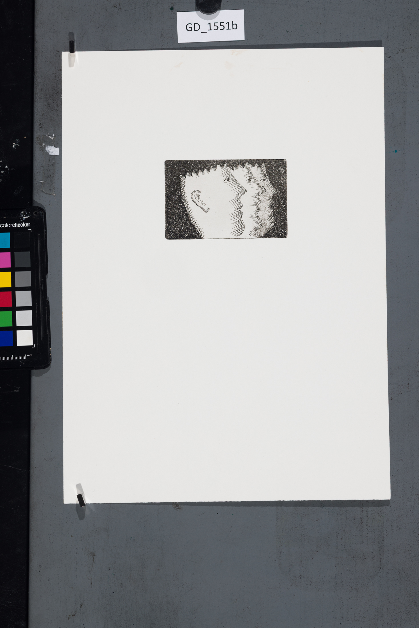 Fotografie
