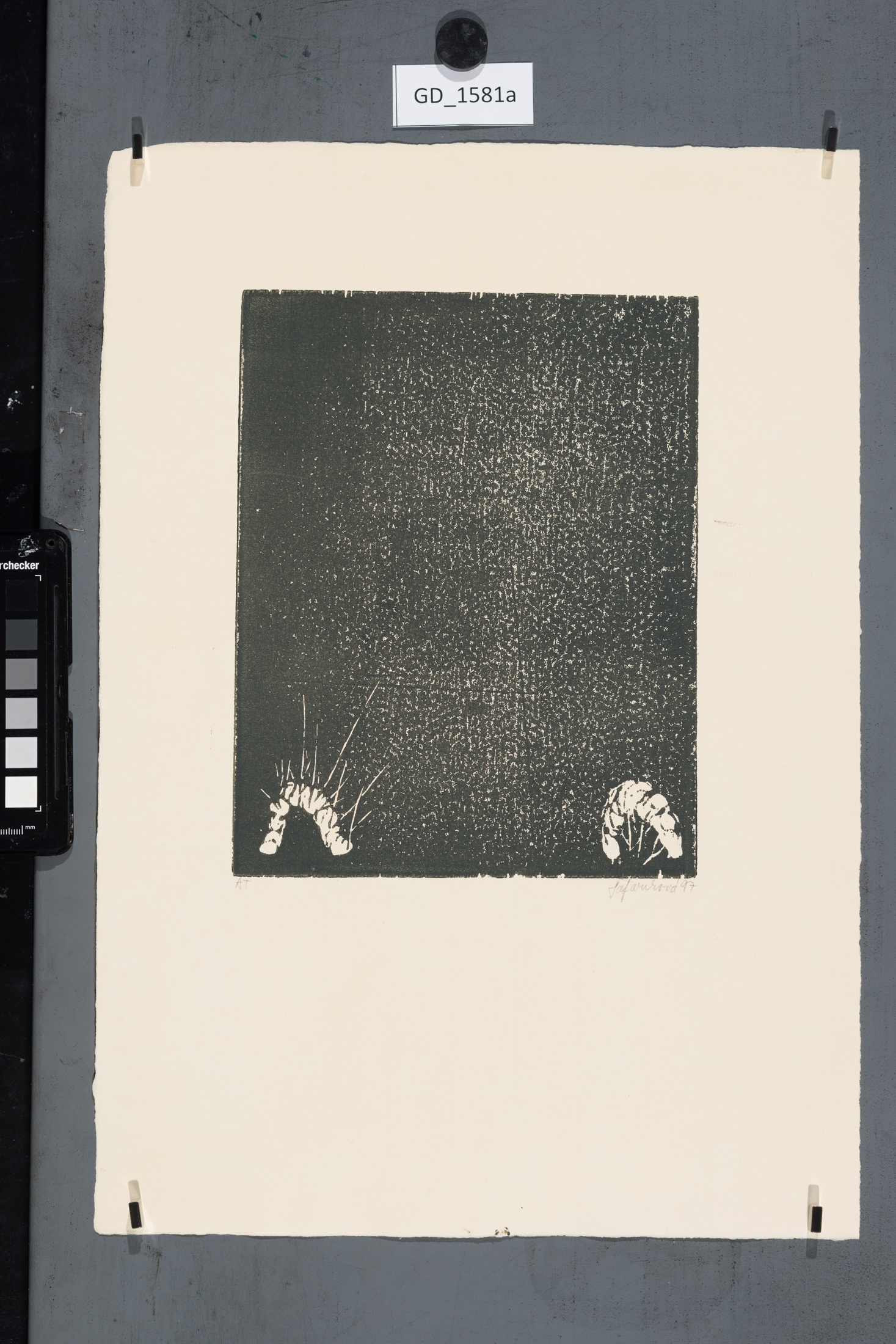 Fotografie