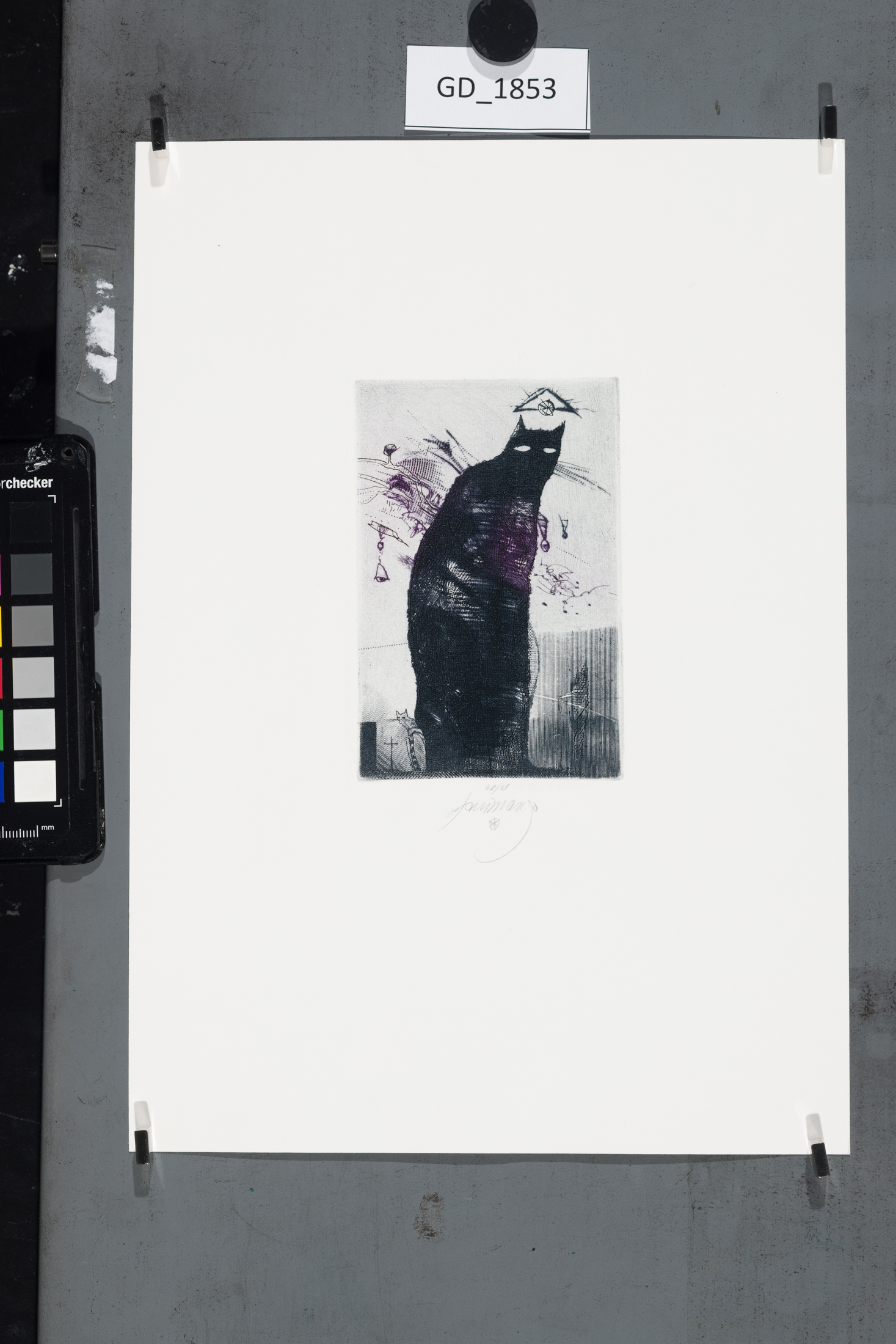 Fotografie
