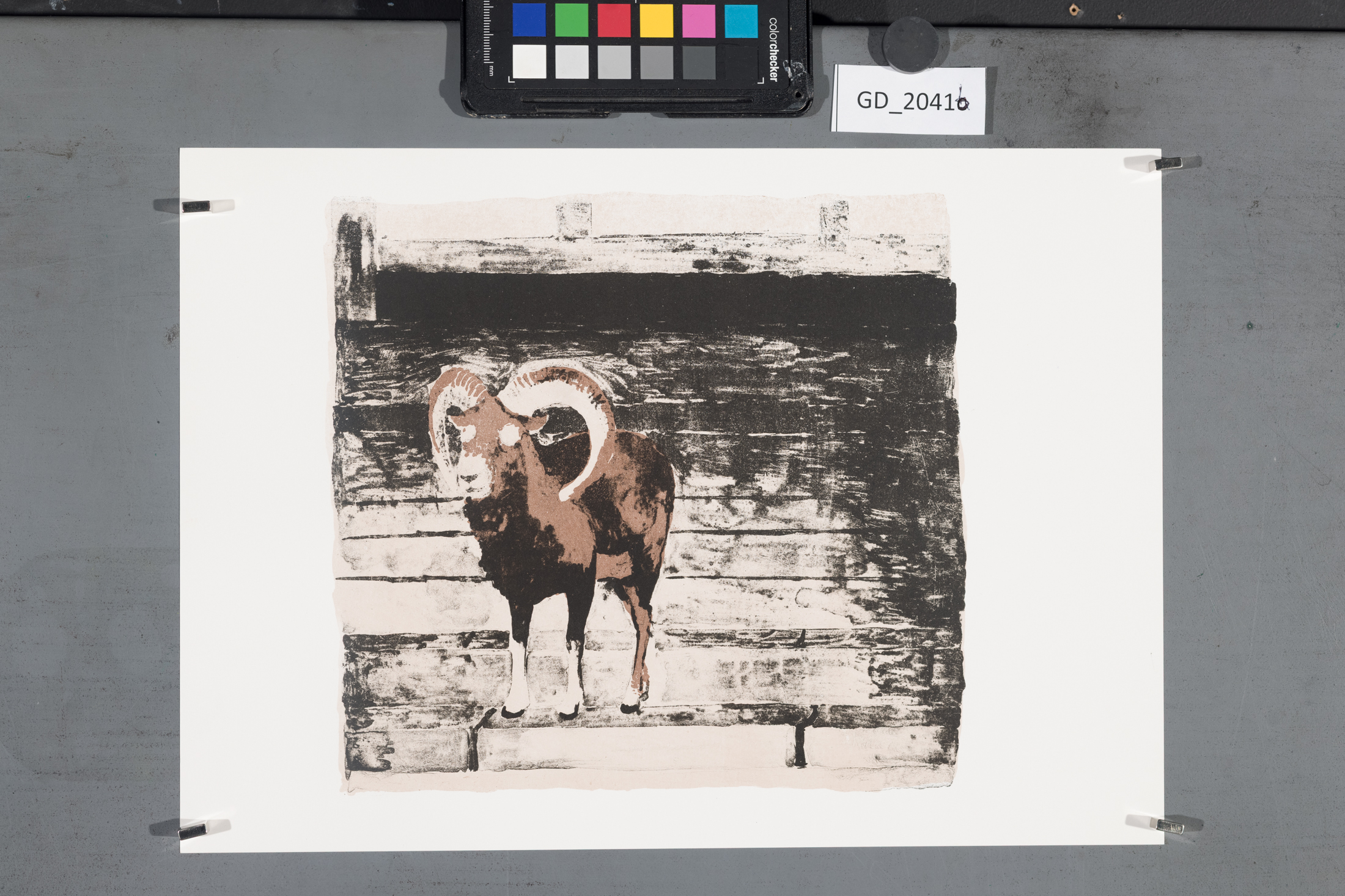 Fotografie