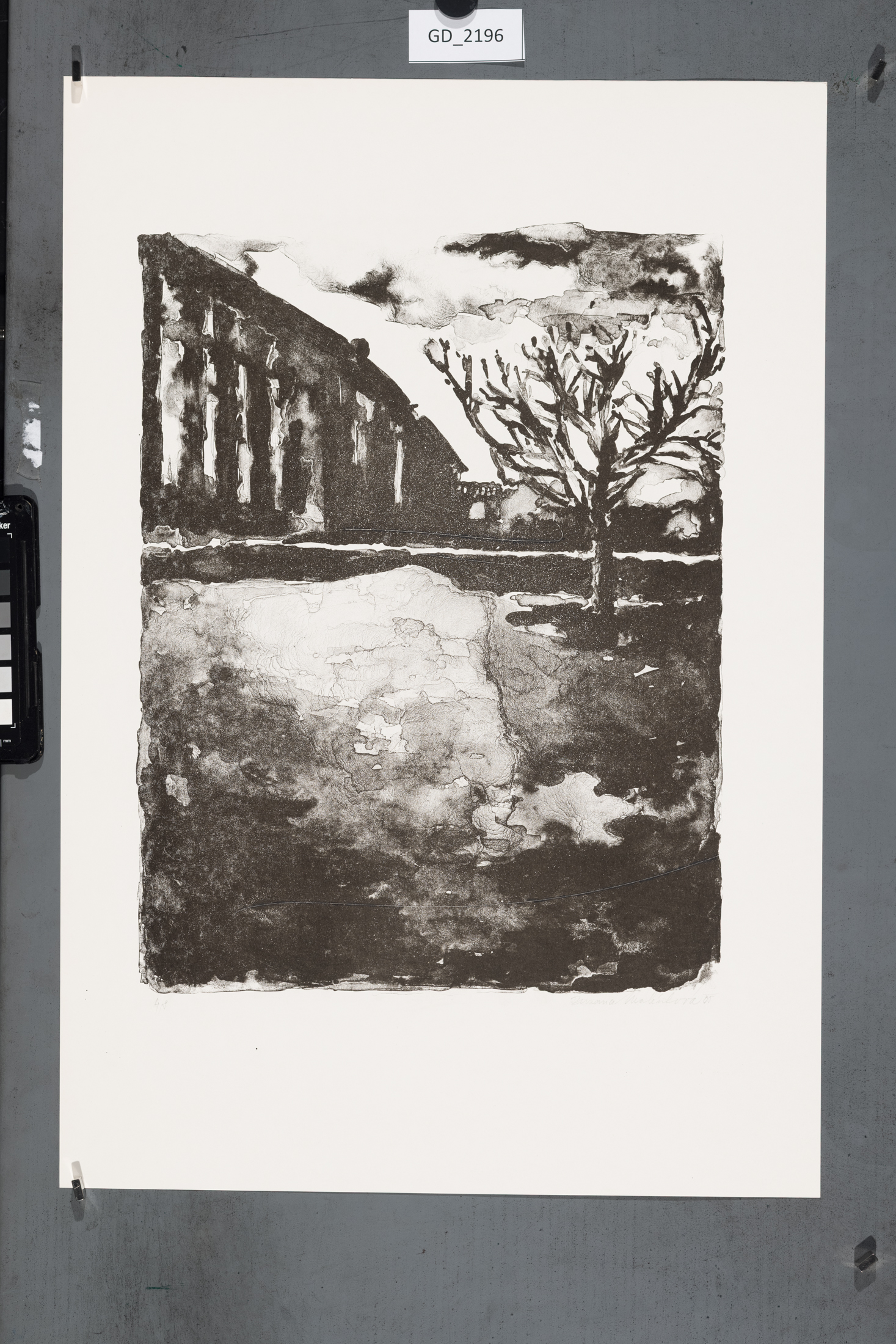 Fotografie