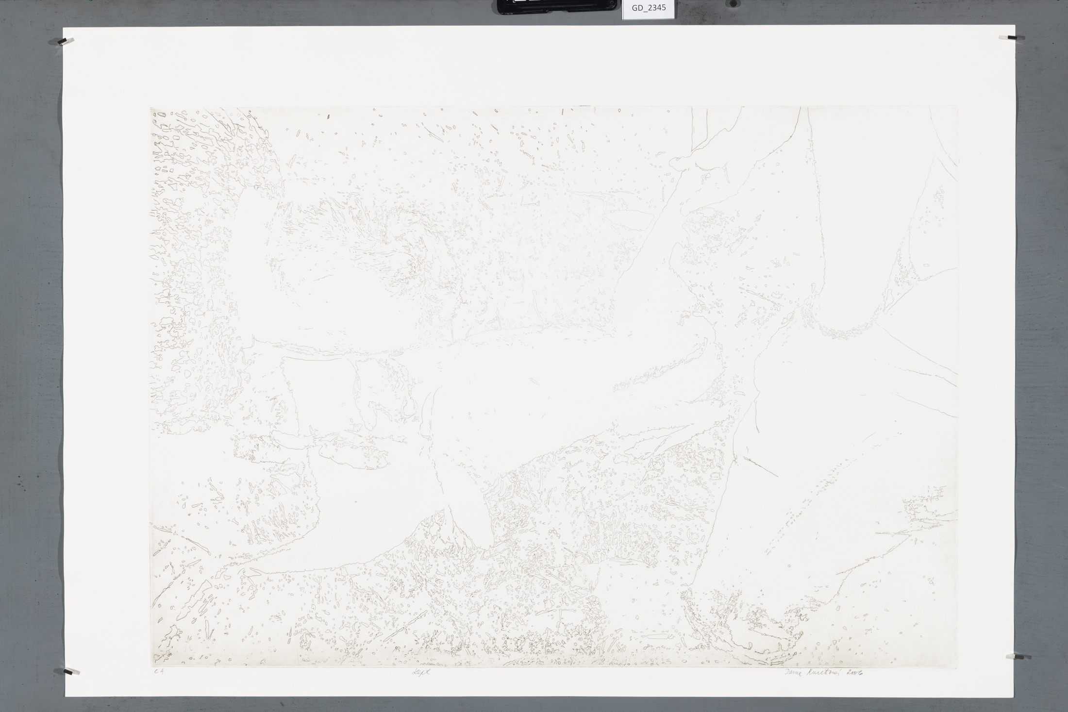 Fotografie