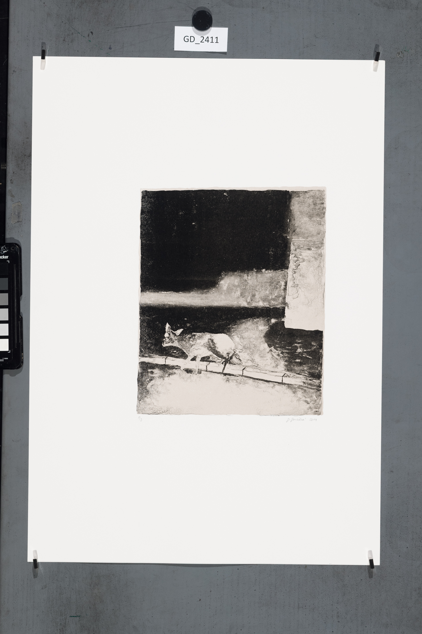 Fotografie