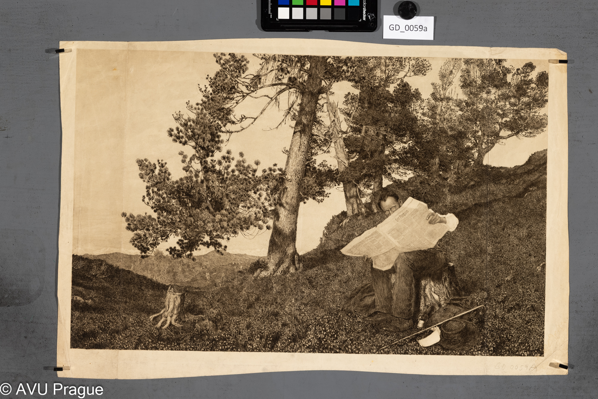 Čtenář novin v krajině