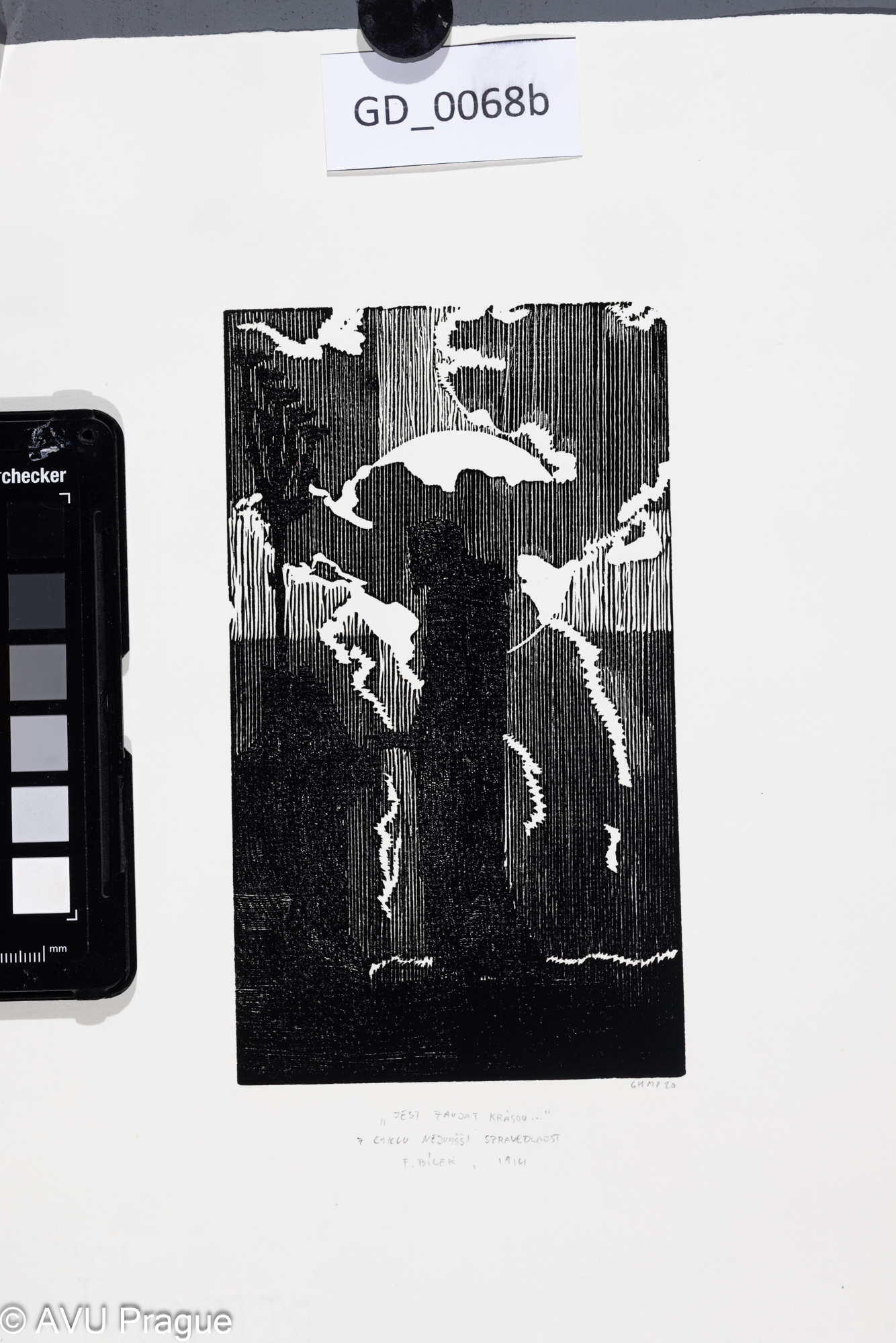 " Jest zaujat krásou..."