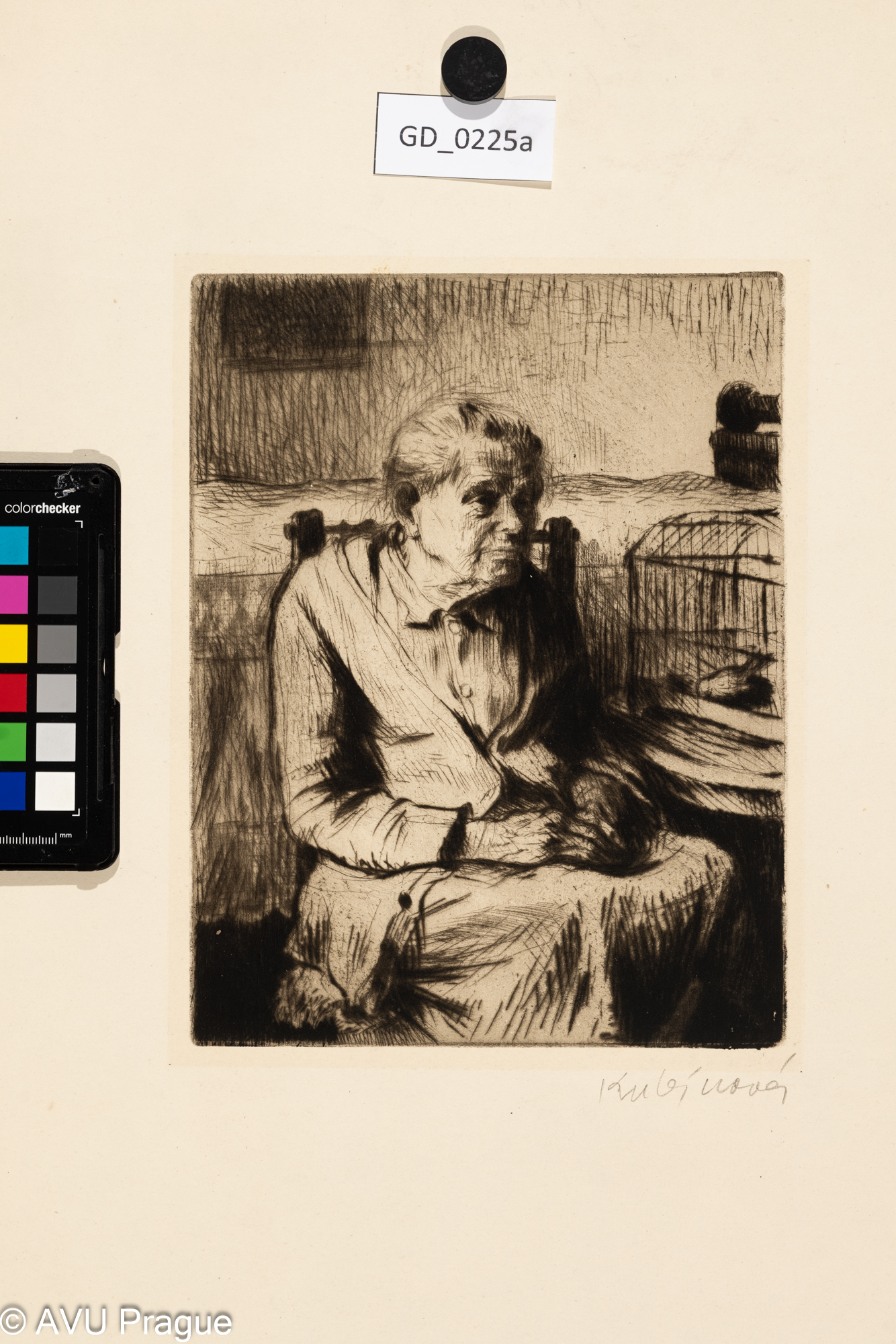 Babička s kanárkem