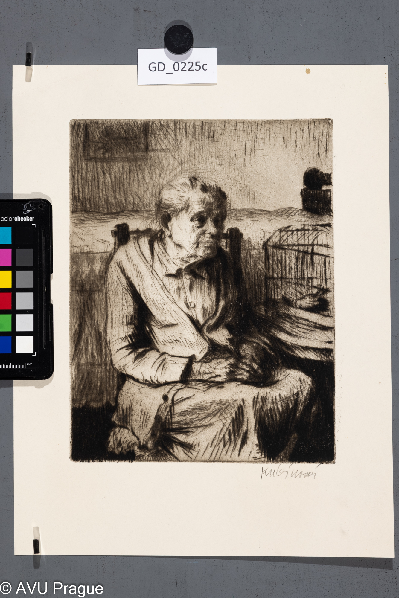 Babička s kanárkem