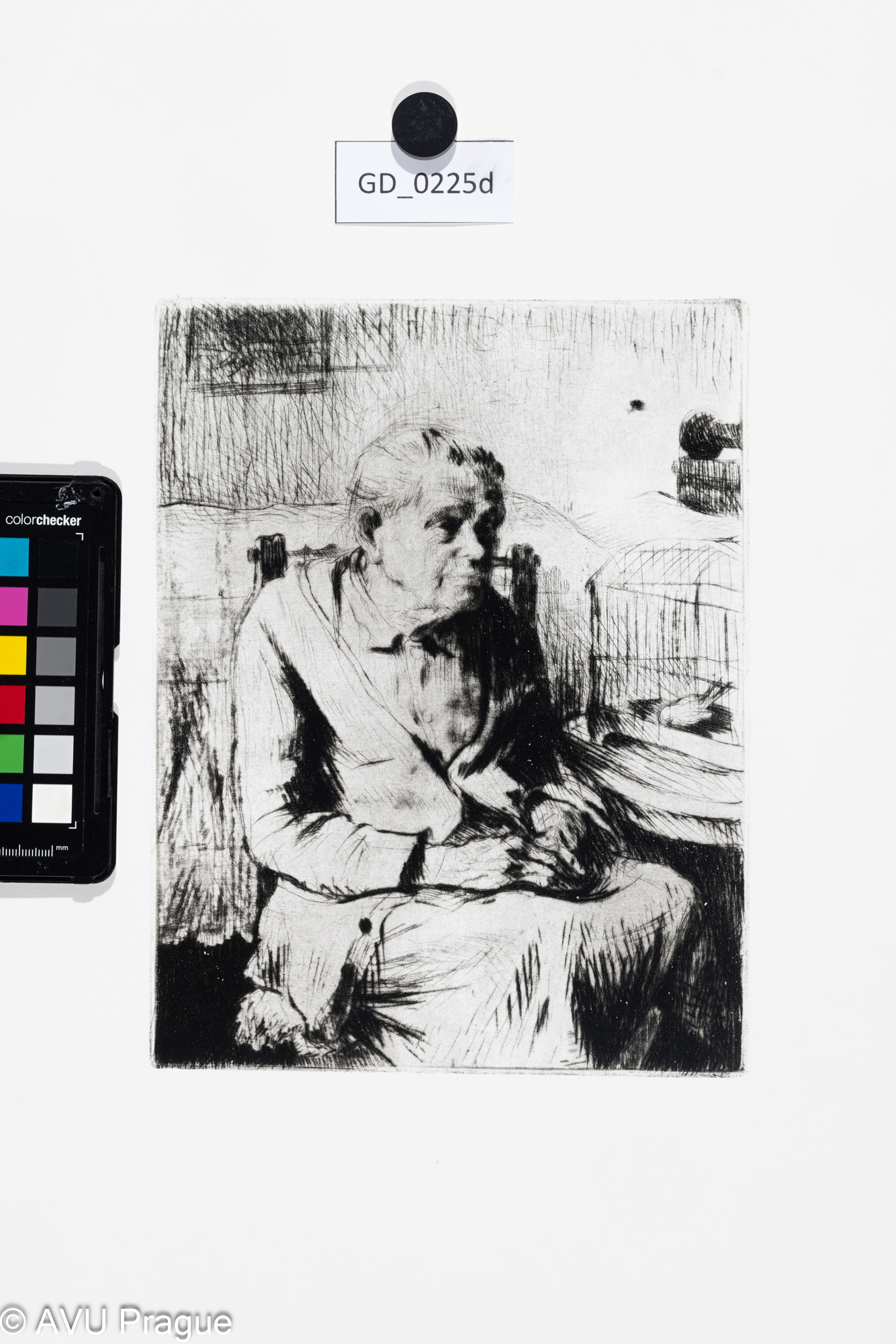 Babička s kanárkem