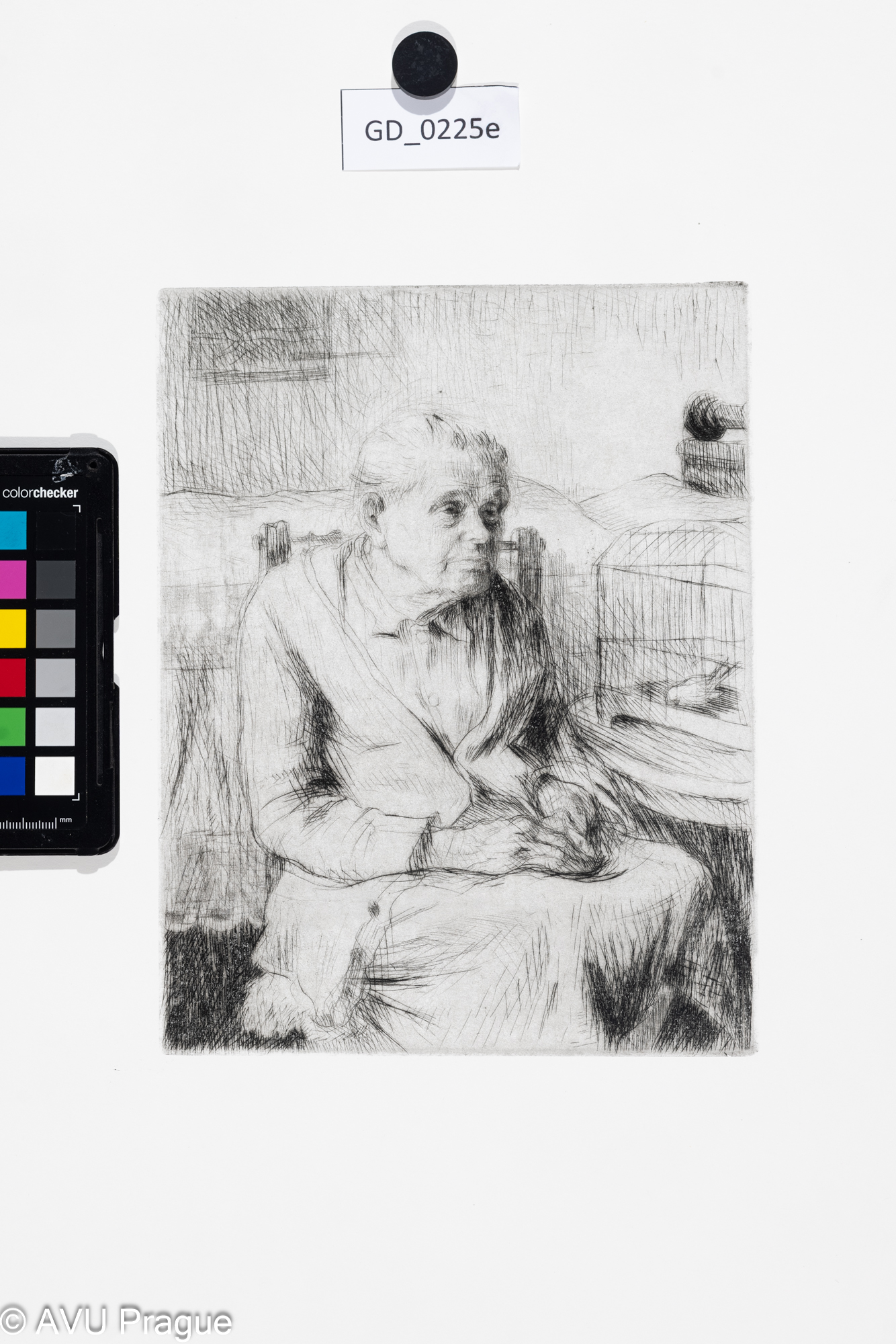 Babička s kanárkem