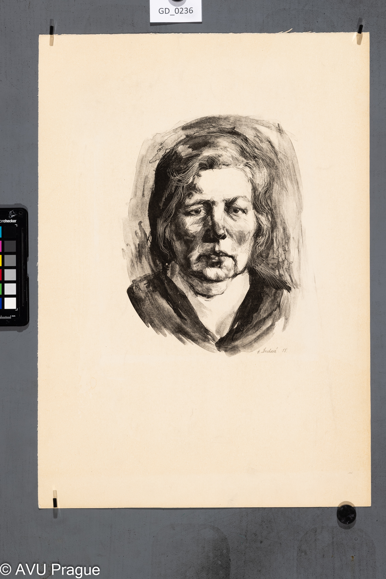 Portrét_hlava ženy