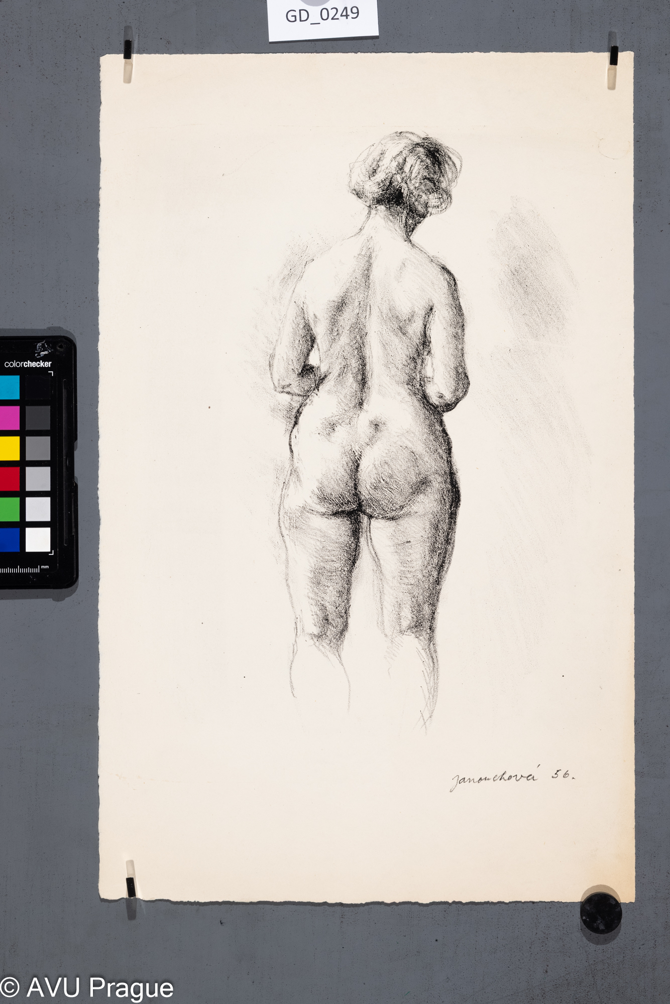 Akt_nahá polopostava ženy