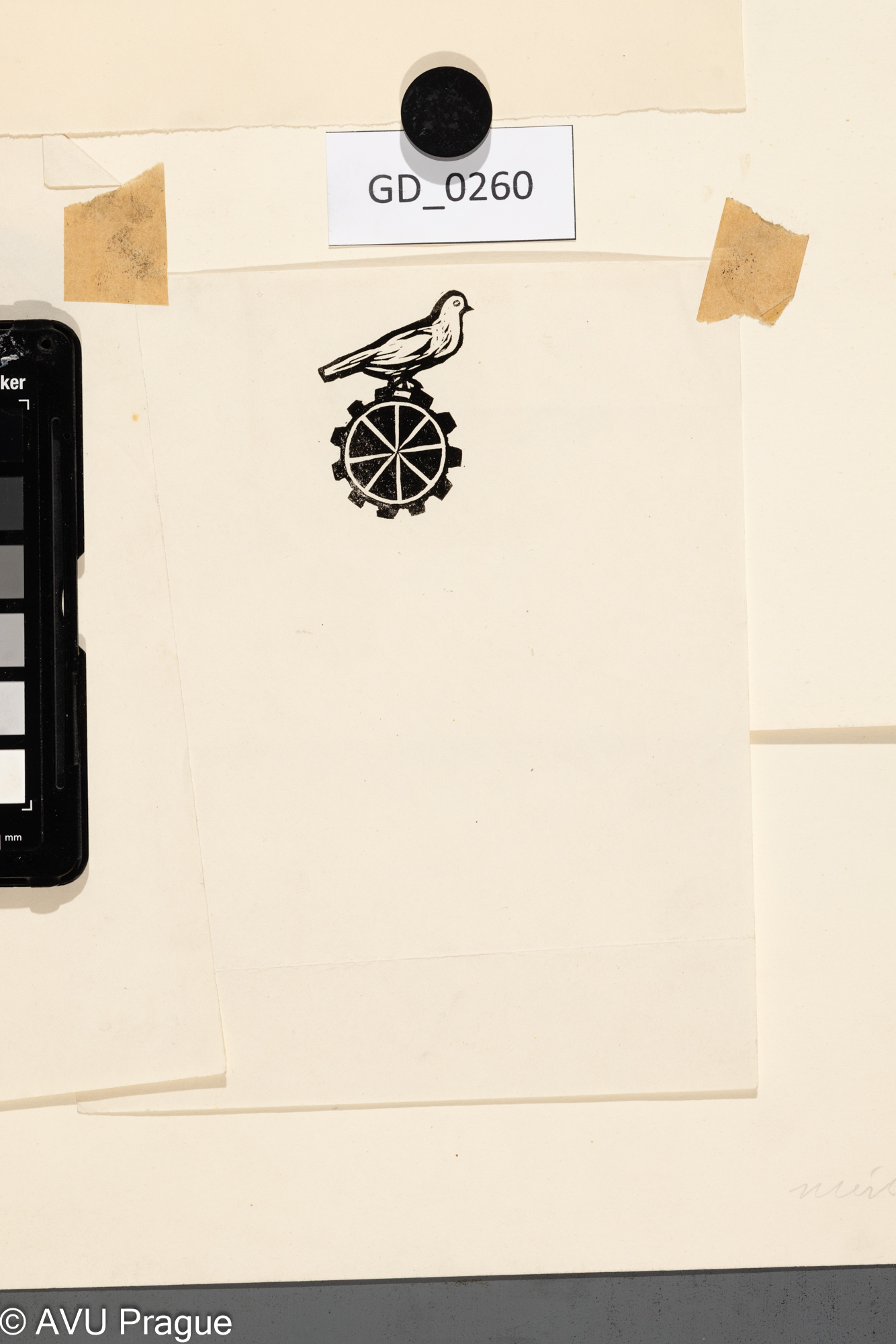 Holubice na ozubeném kole