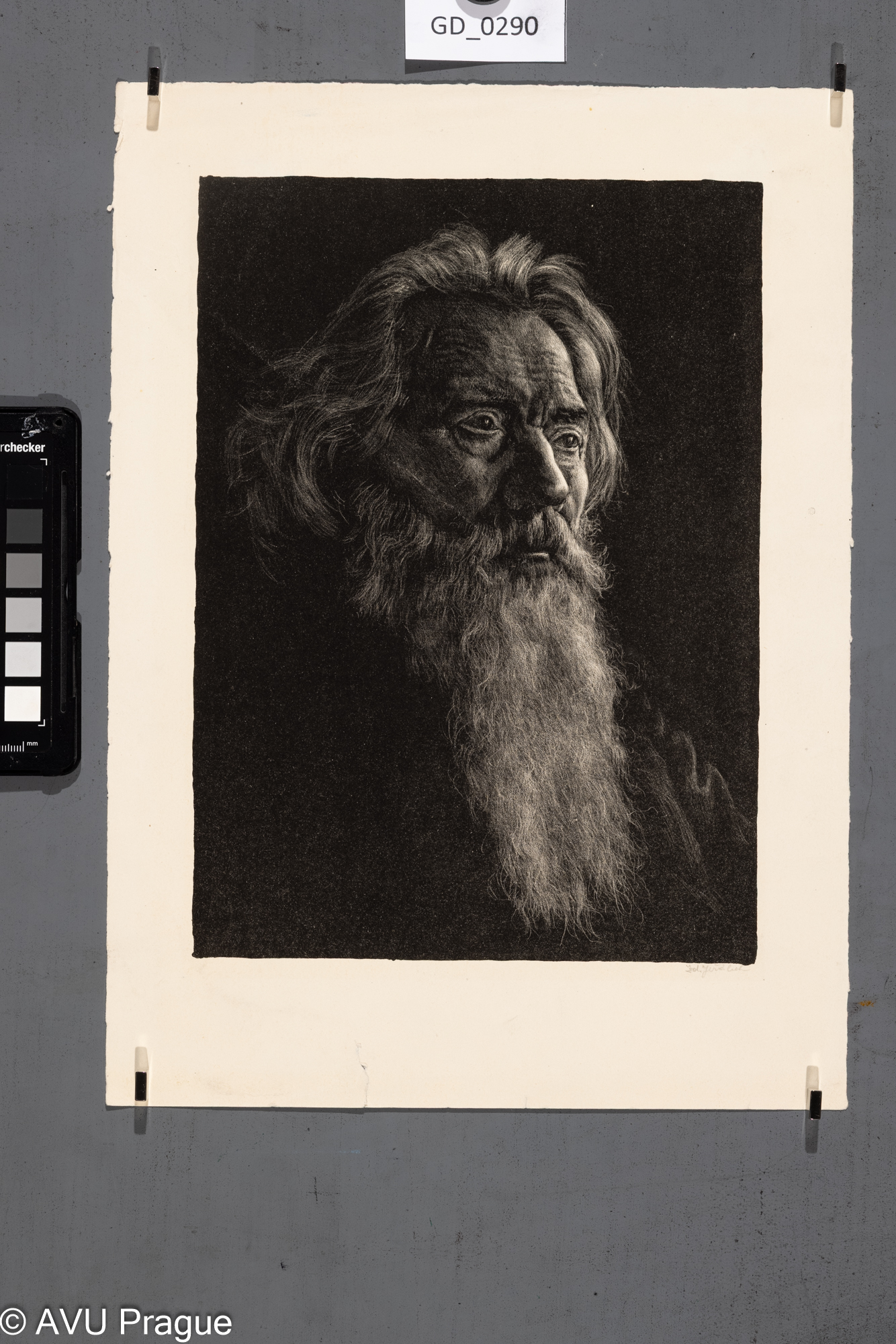 Hlava vousatého starce