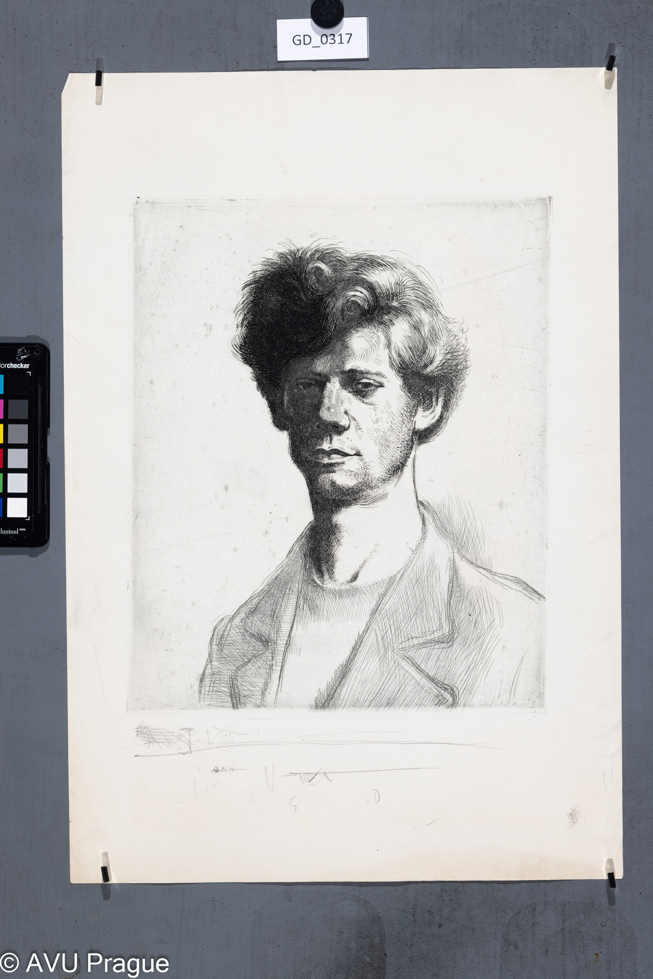 Hlava mladého muže