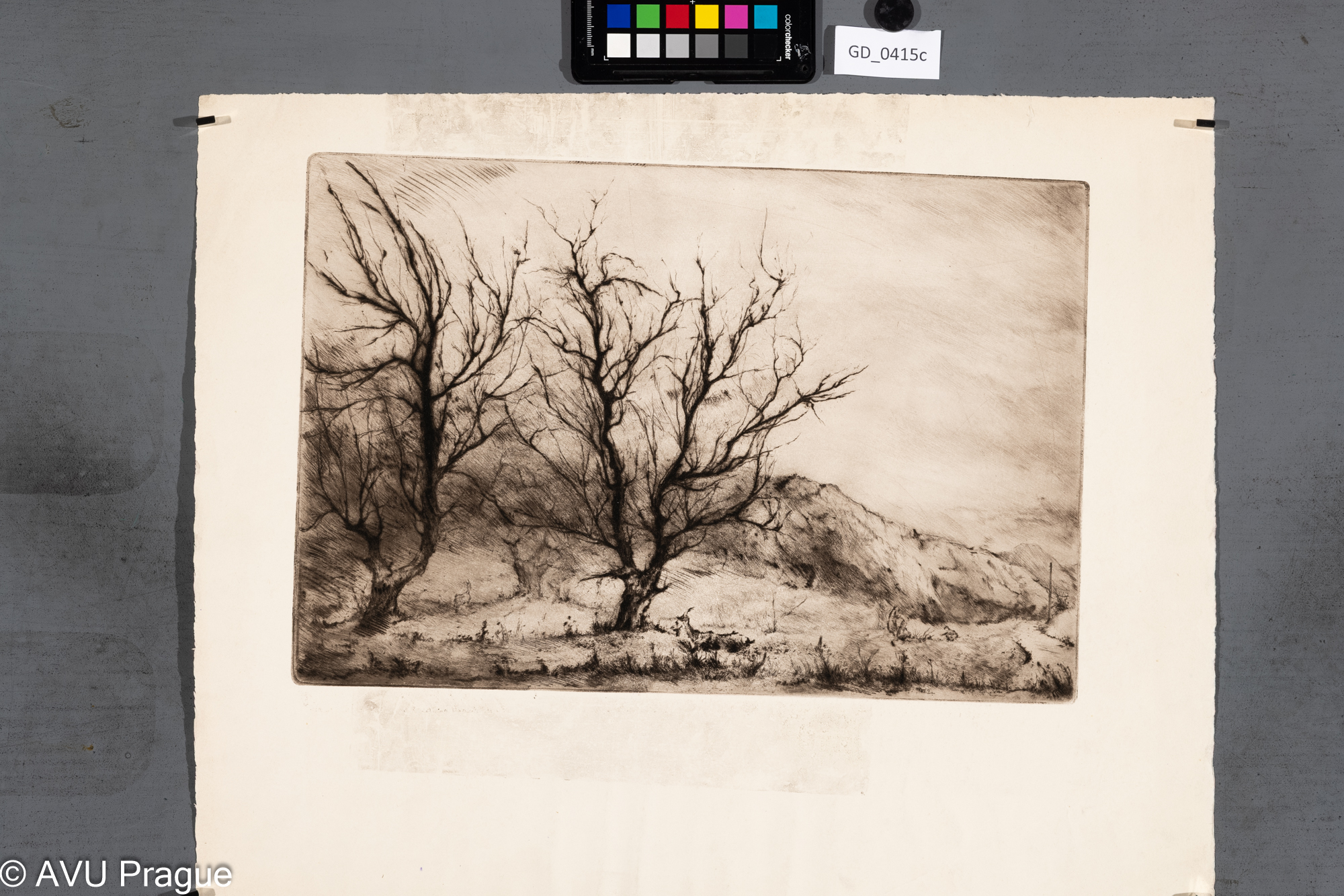 Podzimní krajina s dětmi a kozami