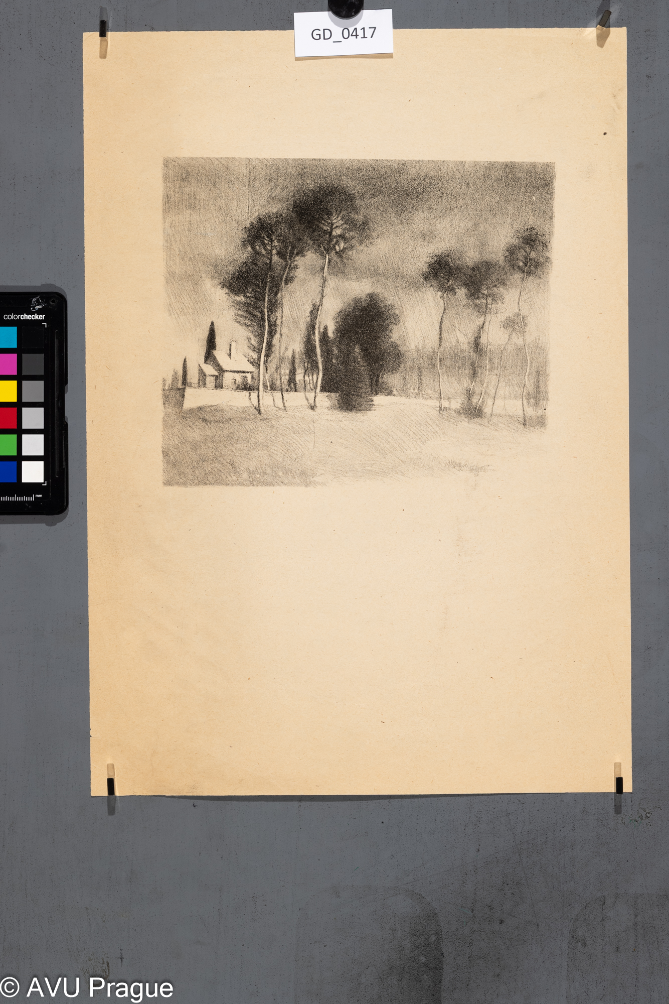 Krajina s borovicemi a domkem