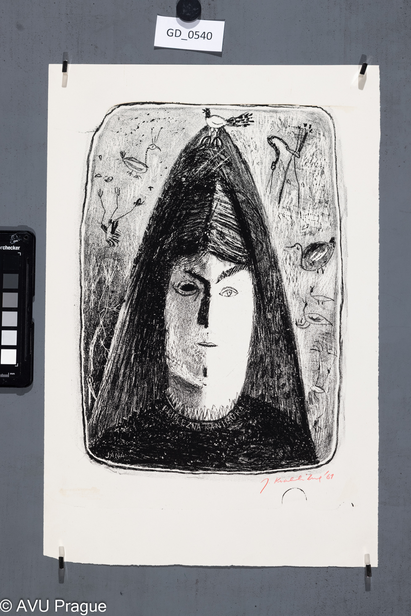 Ilustrace_hlava s ptáčkem