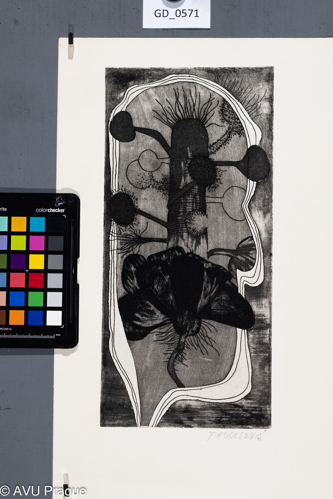 Abstrakce florální motiv