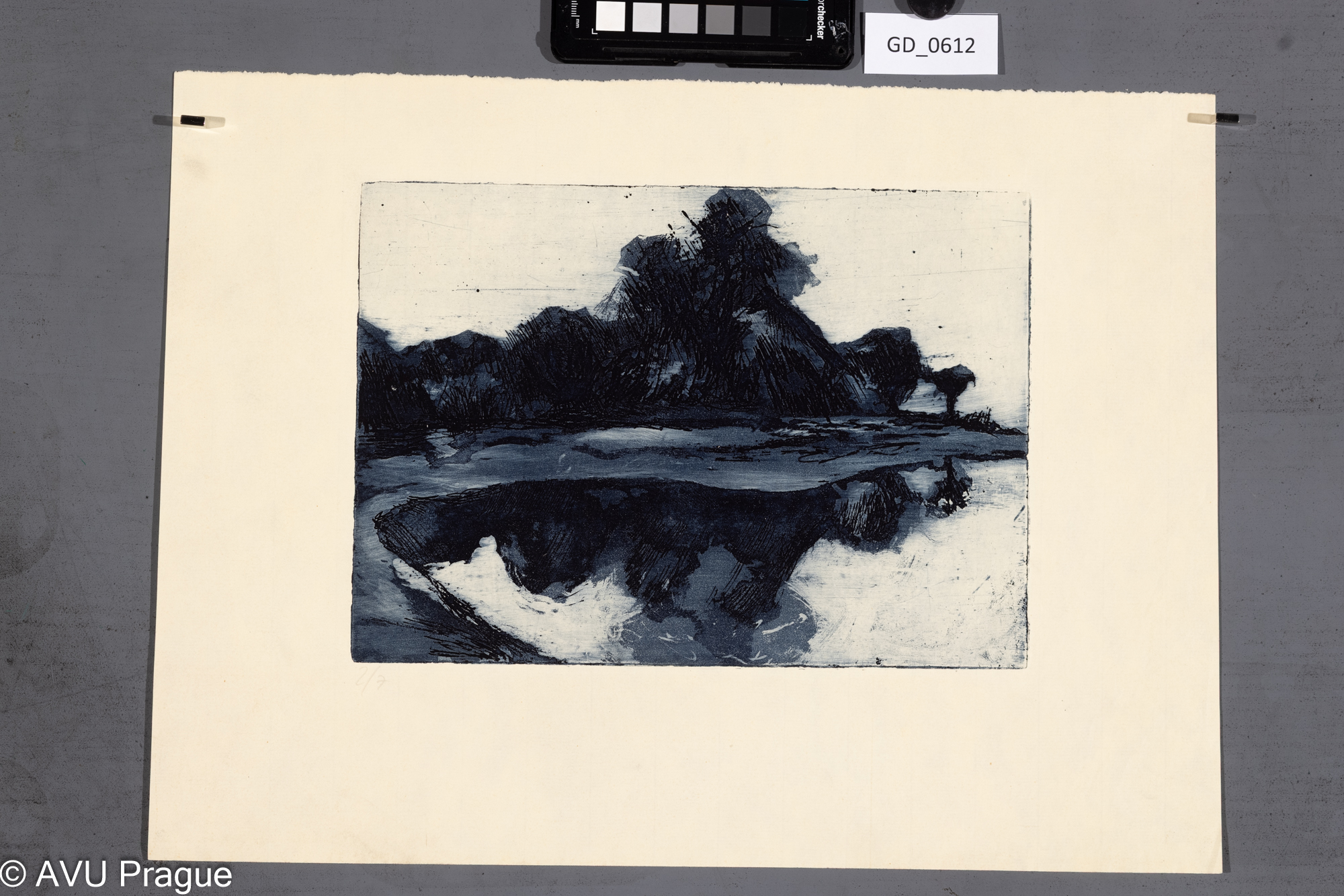 Krajina s vodní plochou