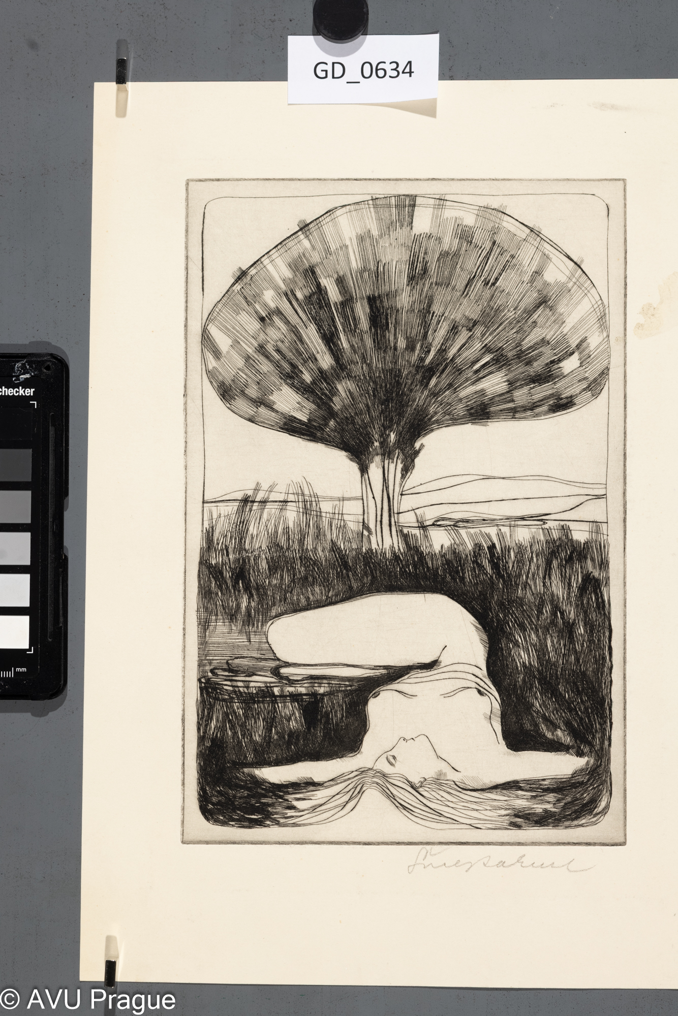 Ležící ženská figura pod stromem