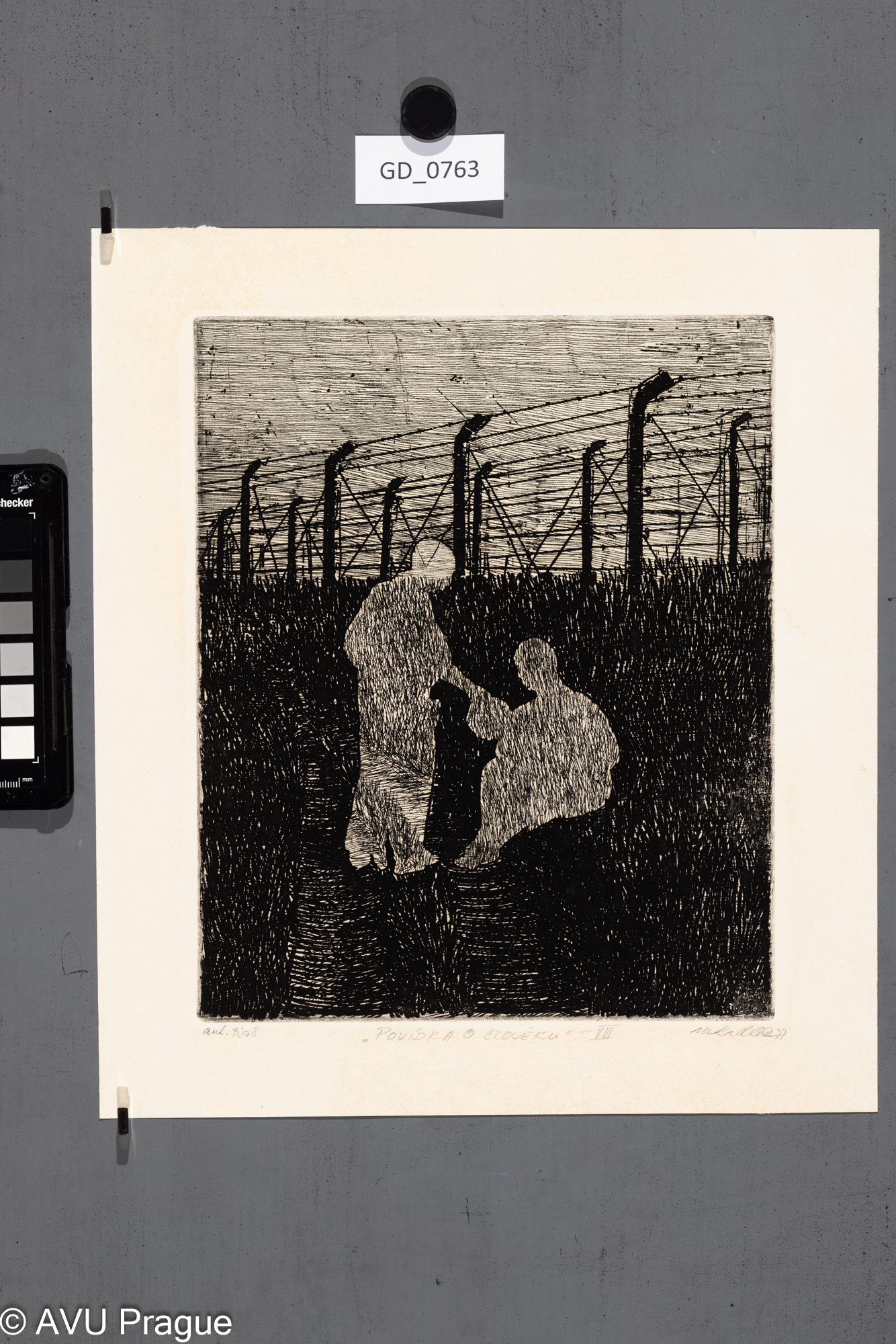 Povídka o člověku VIII.