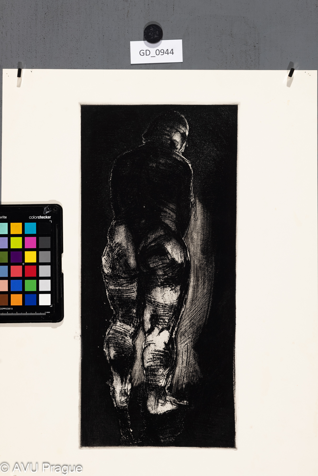 Model_postava zezadu