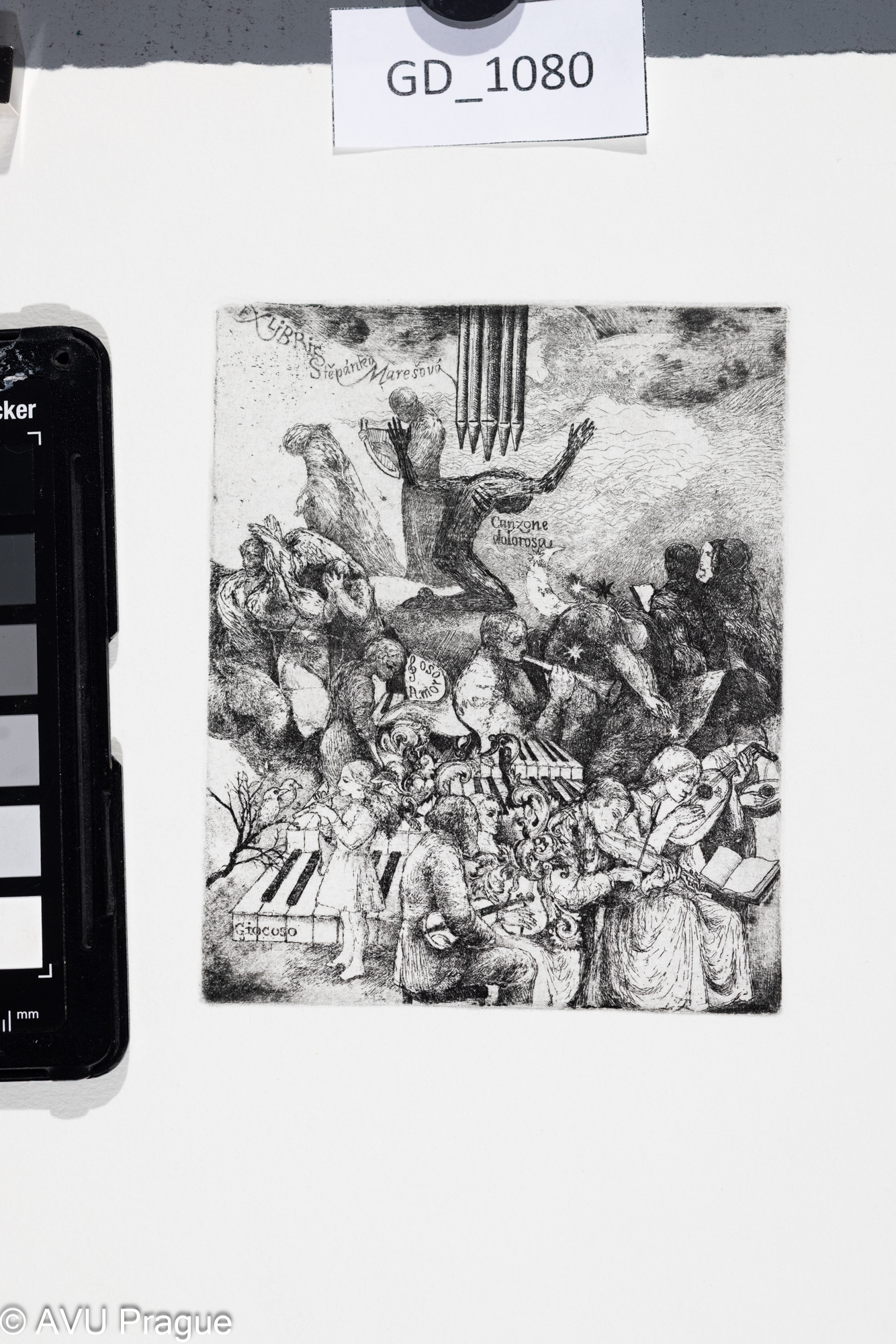 Ex libris Śtěpánka Marešová