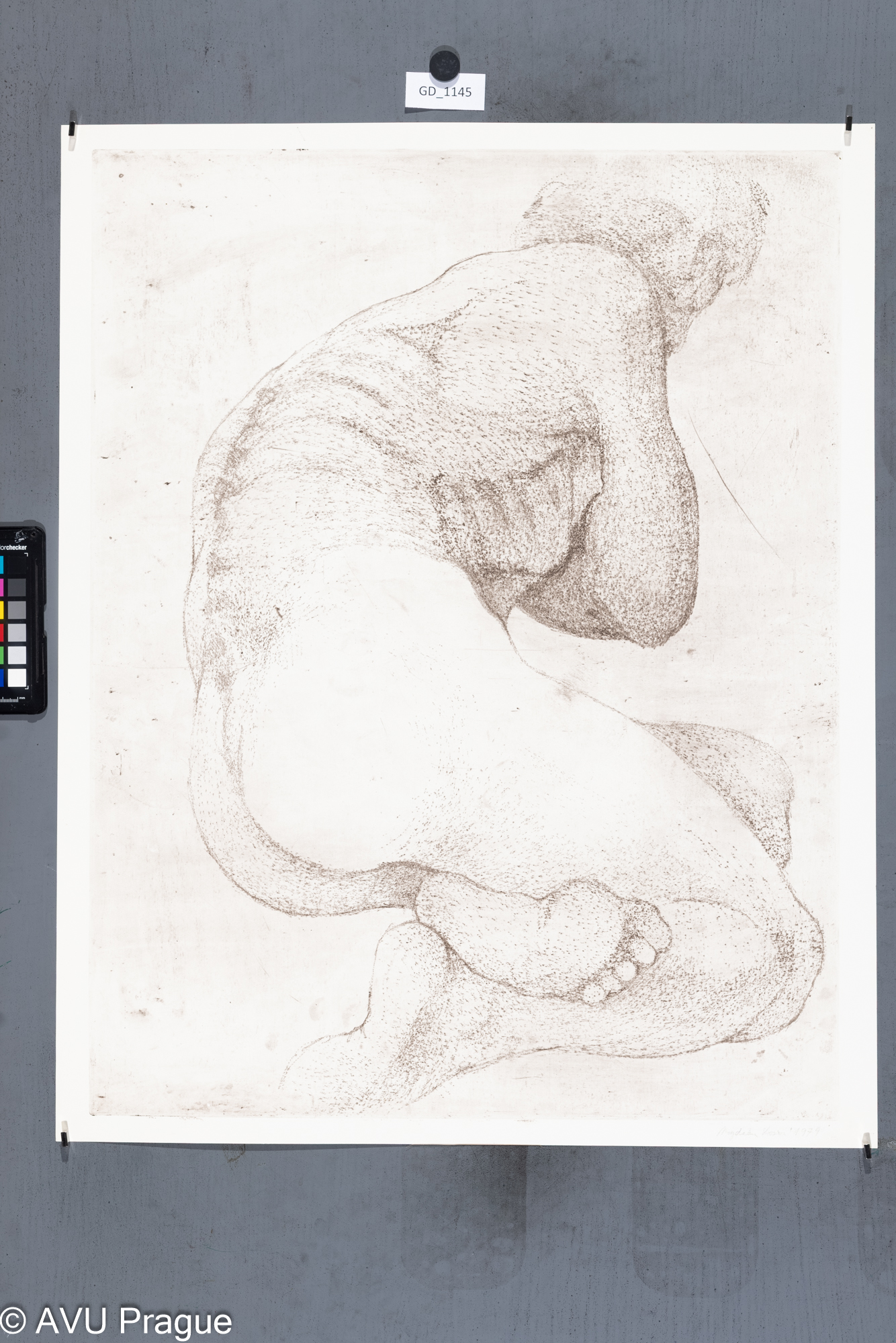 Z cyklu  Model (Honěk)