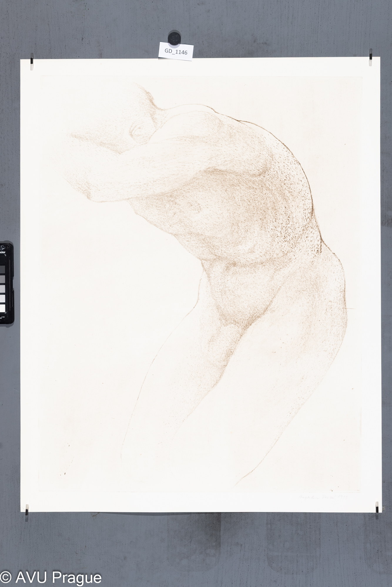 Z cyklu  Model (Honěk)