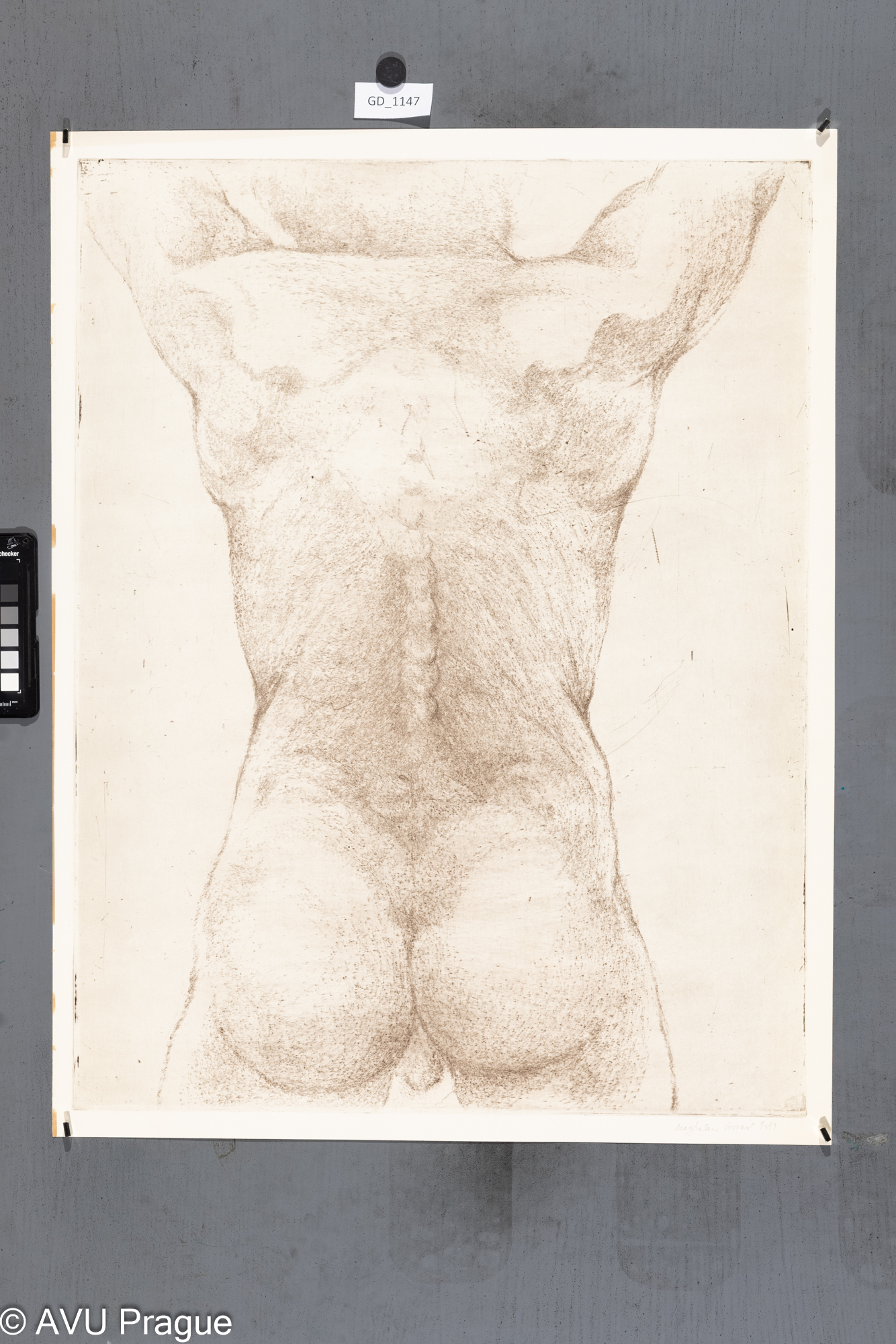 Z cyklu  Model (Honěk)