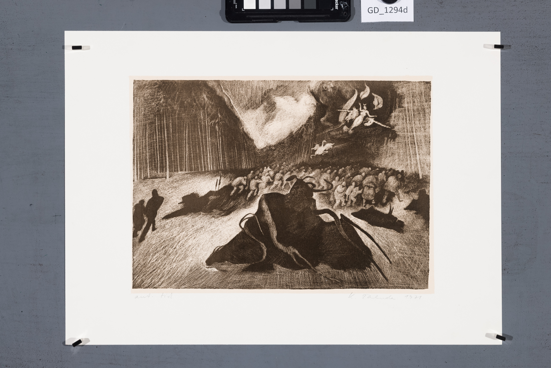 Ilustrace - 
