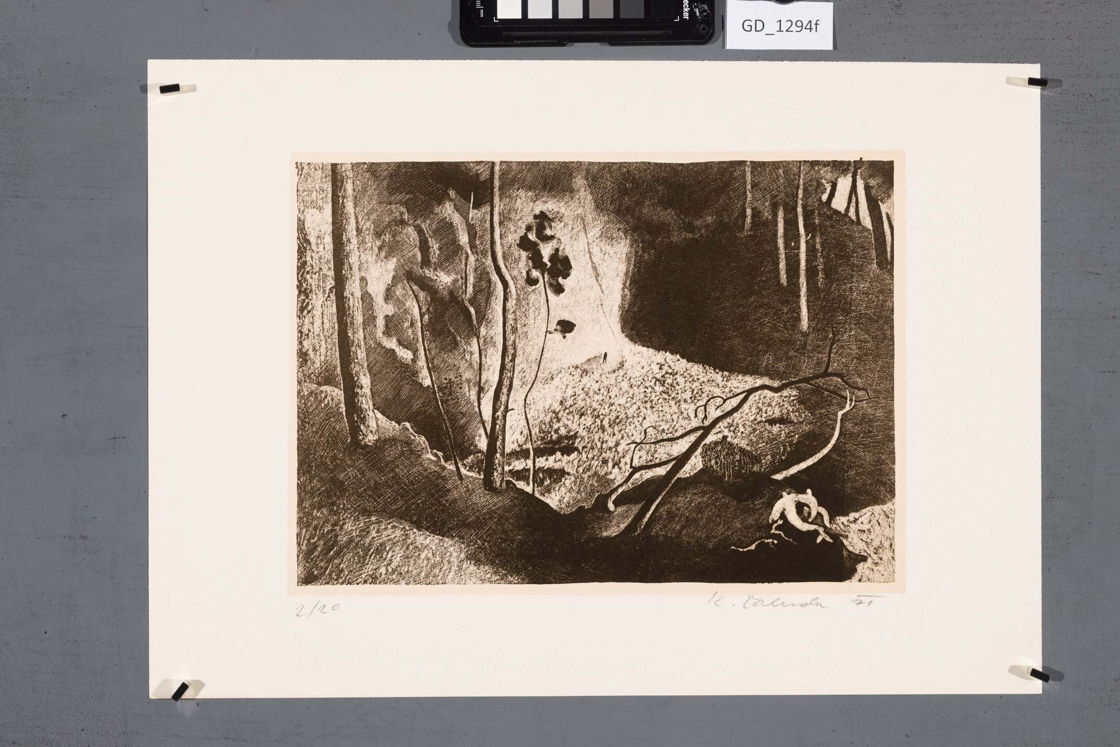 Ilustrace - 