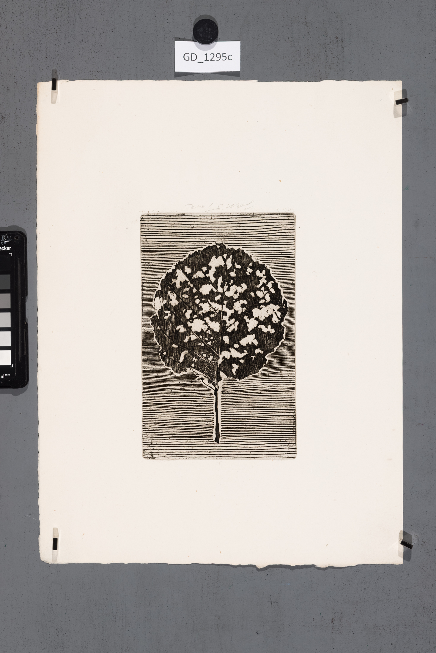 Ilustrace_A. Sova_Co mohl najít poutník_list